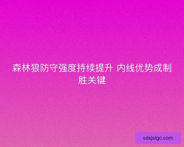 森林狼防守强度持续提升 内线优势成制胜关键 森林狼防守强度持续提升 内线优势成制胜关键