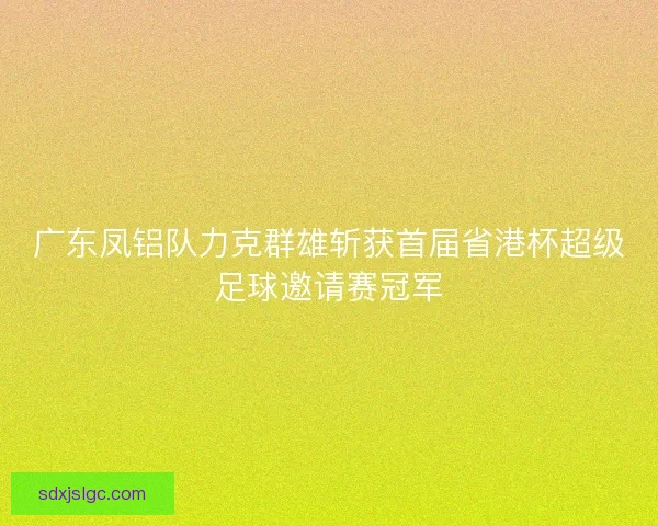 广东凤铝队力克群雄斩获首届省港杯超级足球邀请赛冠军