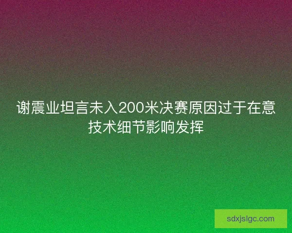 谢震业坦言未入200米决赛原因过于在意技术细节影响发挥